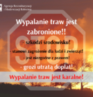 ARiMR przypomina: wypalanie traw...