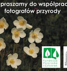 Zaproszenie do współpracy