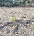 Prace rozbiórkowe na placu...