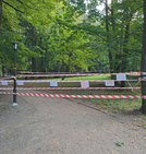 Zapadlisko