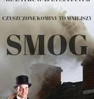 „Czyszczone kominy to mniejszy...