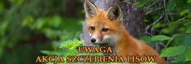 KOMUNIKAT MAŁOPOLSKIEGO WOJEWÓDZKIEGO LEKARZA...
